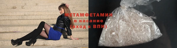 прущие грибы Касимов