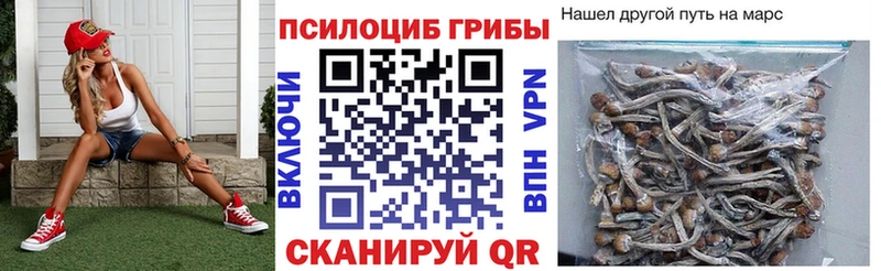 Псилоцибиновые грибы Magic Shrooms  Рассказово 