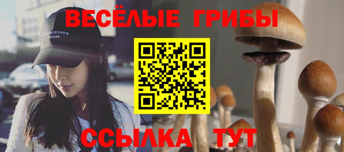 Галлюциногенные грибы прущие грибы  Псилоцибиновые грибы ЛСД  Вход с VPN  Рассказово 