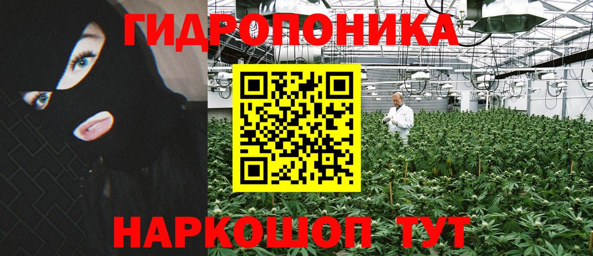 Марихуана конопля Рассказово